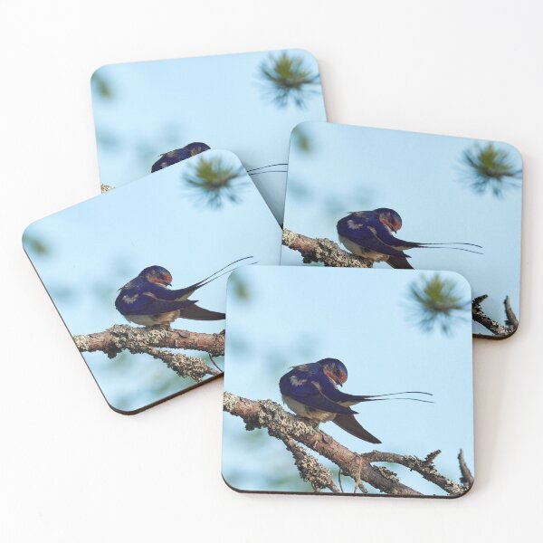 Item preview, How is the tail. Barn swallow designed and sold by Jouko Lehto Photography.