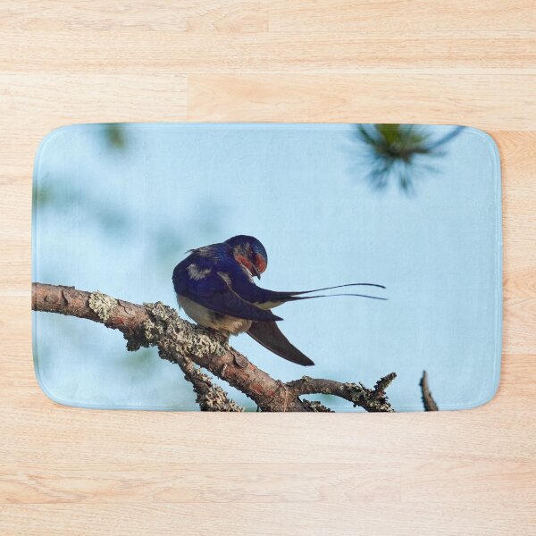 Item preview, How is the tail. Barn swallow designed and sold by Jouko Lehto Photography.