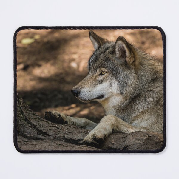 Item preview, Timber Wolf designed and sold by WolvesOnly.