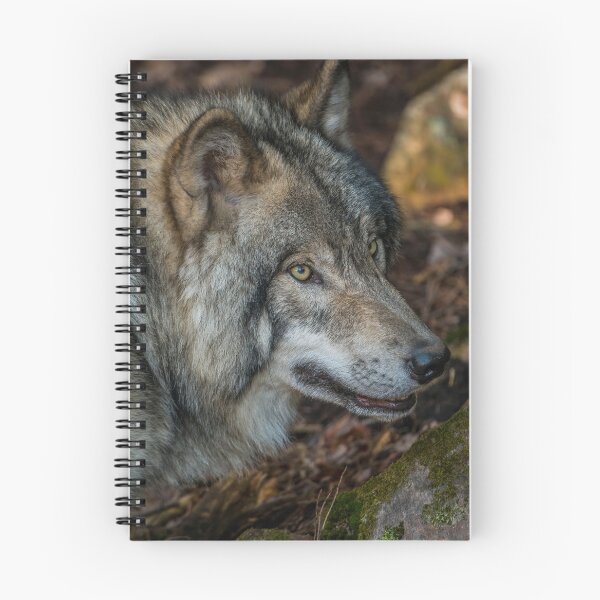 Artikelvorschau, Timber Wolf entworfen und verkauft von WolvesOnly.