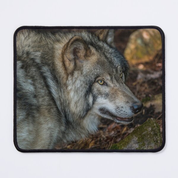 Item preview, Timber Wolf designed and sold by WolvesOnly.
