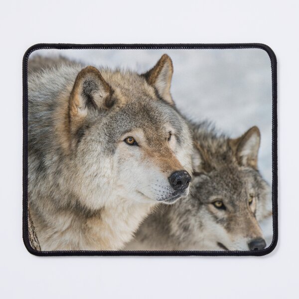 Item preview, Timber Wolves In Winter designed and sold by WolvesOnly.