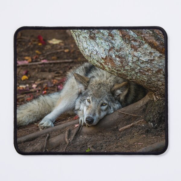 Item preview, I see You designed and sold by WolvesOnly.