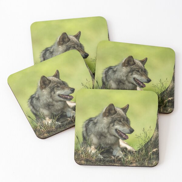 Item preview, Gray Wolf Resting In The Shade designed and sold by WolvesOnly.