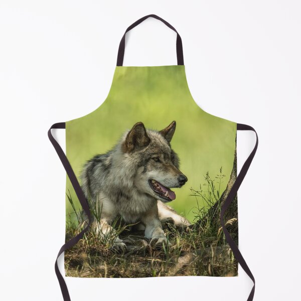 Item preview, Gray Wolf Resting In The Shade designed and sold by WolvesOnly.