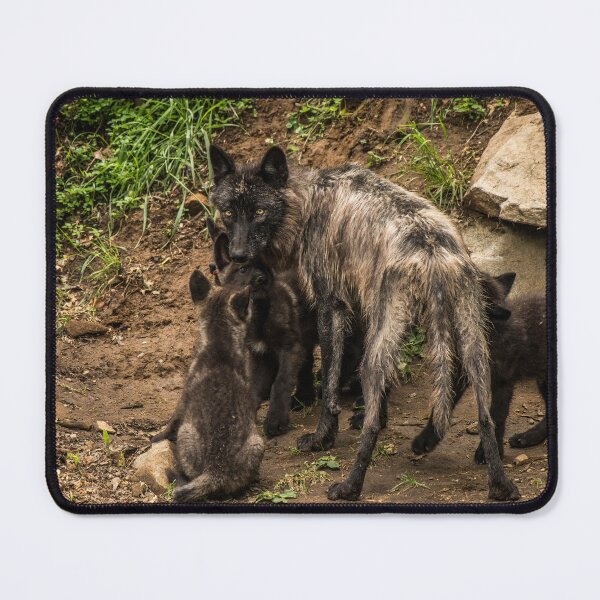 Item preview, Black Wolf With Pups designed and sold by WolvesOnly.
