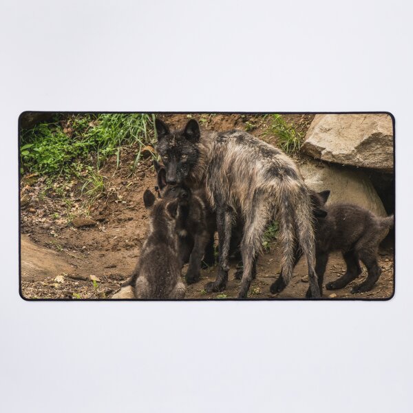Item preview, Black Wolf With Pups designed and sold by WolvesOnly.