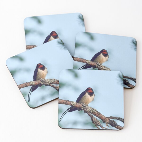 Item preview, Praise the morning sun. Barn swallow designed and sold by Jouko Lehto Photography.