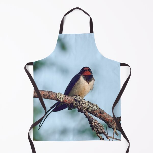 Item preview, Praise the morning sun. Barn swallow designed and sold by Jouko Lehto Photography.