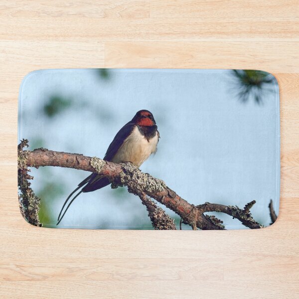 Item preview, Praise the morning sun. Barn swallow designed and sold by Jouko Lehto Photography.