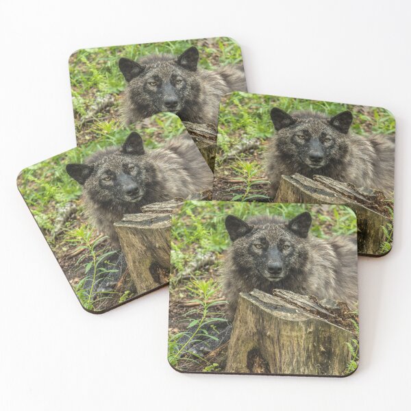 Item preview, Black Wolf designed and sold by WolvesOnly.