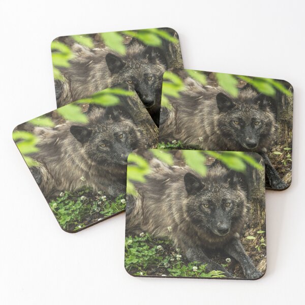Item preview, Black Wolf designed and sold by WolvesOnly.