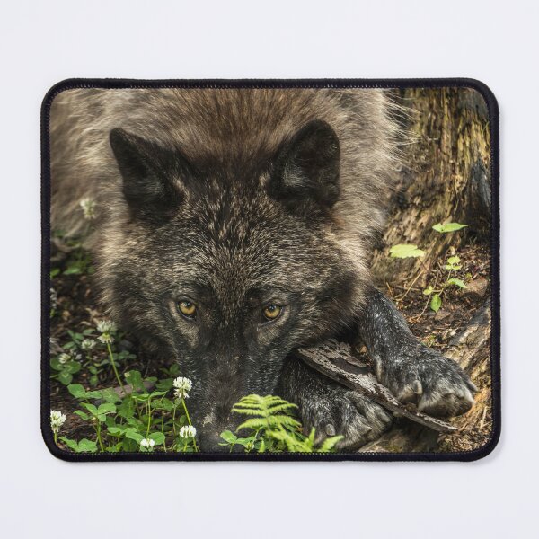 Item preview, Taking A Break designed and sold by WolvesOnly.