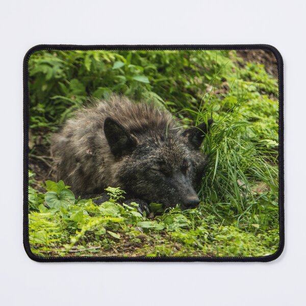 Item preview, Taking A Nap. designed and sold by WolvesOnly.