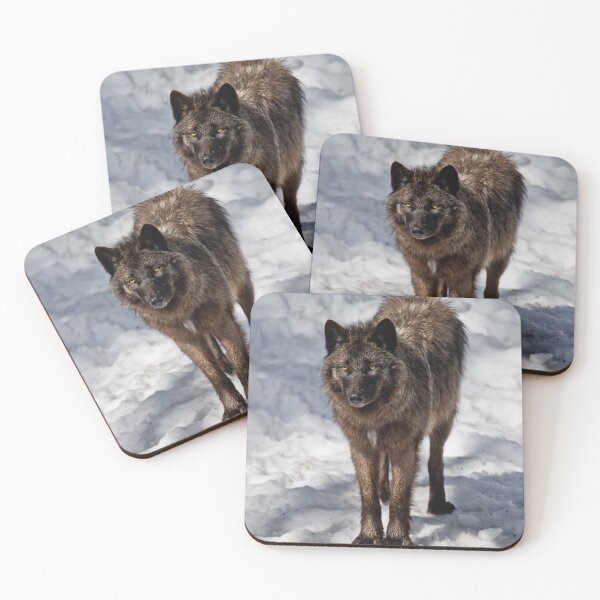 Item preview, Black Wolf designed and sold by WolvesOnly.