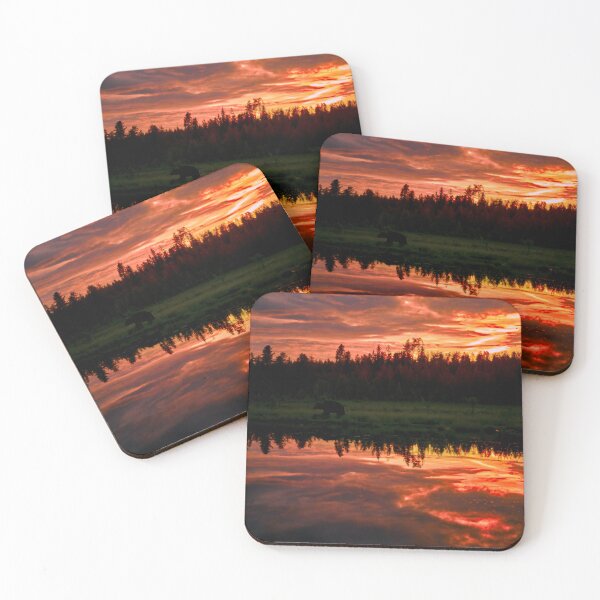 Item preview, The truth is in the shadows. Brown bear. designed and sold by Jouko Lehto Photography.