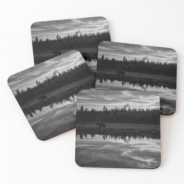 Item preview, The truth is in the shadows. Brown bear bw designed and sold by Jouko Lehto Photography.