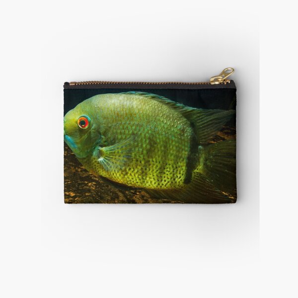 Item preview, Severum Verde - Heros Severus designed and sold by bidkev1.