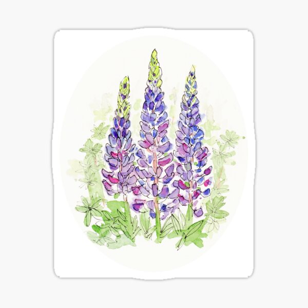 Lovely Lupine Sticker