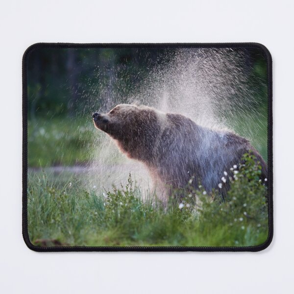 Item preview, Dry out time. Brown bear. designed and sold by Jouko Lehto Photography.
