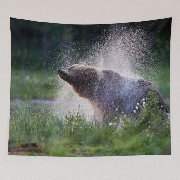 Item preview, Dry out time. Brown bear. designed and sold by Jouko Lehto Photography.