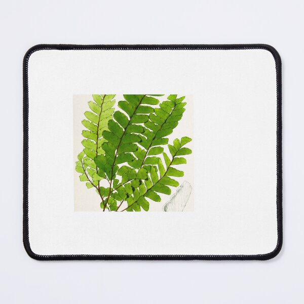 Item preview, Green Leaf designed and sold by Brush-Master.