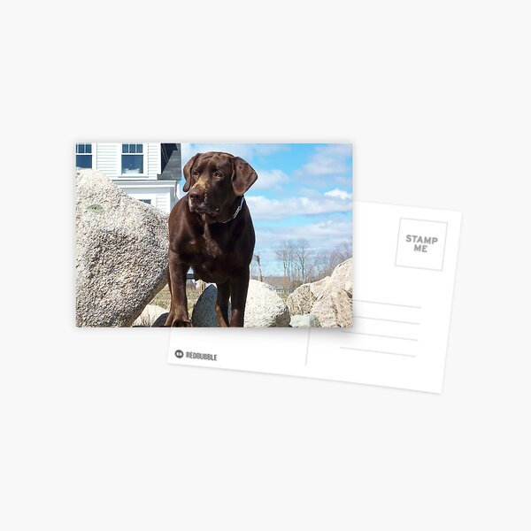 Gentle Giant Postcard
