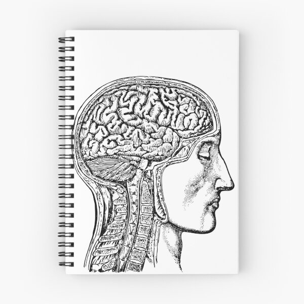 Item preview, Vintage Human Brain Illustration designed and sold by JoyforU.