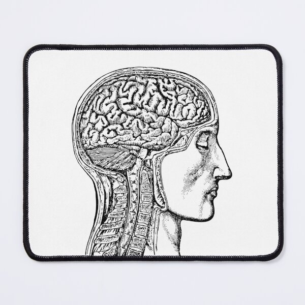 Item preview, Vintage Human Brain Illustration designed and sold by JoyforU.