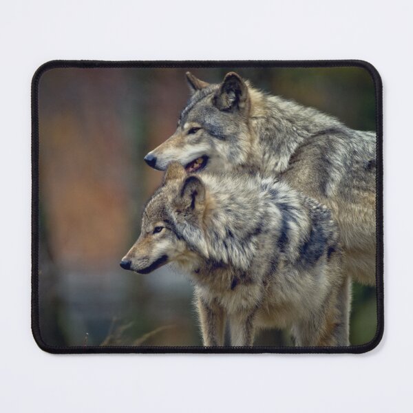 Item preview, Timber Wolves designed and sold by WolvesOnly.