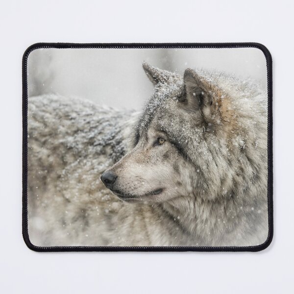 Item preview, Timber Wolf designed and sold by WolvesOnly.