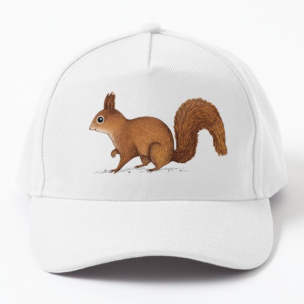 Anatomy of a Squirrel Cap for Sale by Sophie Corrigan Redbubble