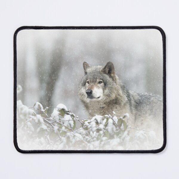 Item preview, Timber Wolf designed and sold by WolvesOnly.