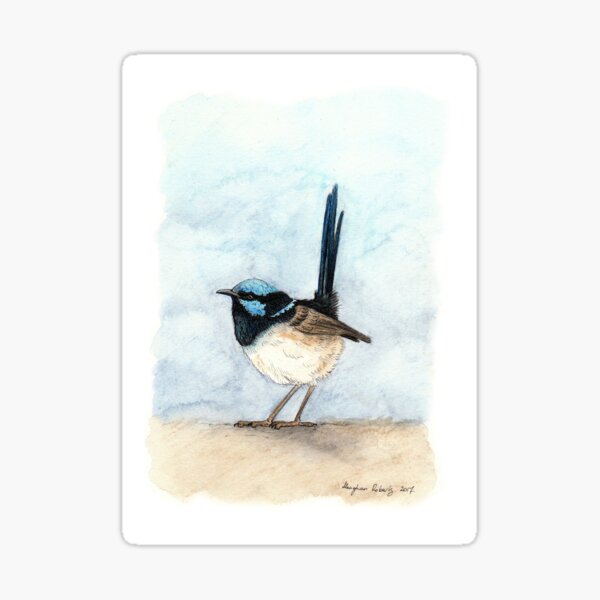 Item preview, Superb Blue Wren designed and sold by Meaghan Roberts.