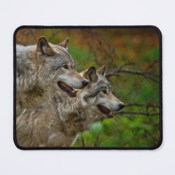 Item preview, Timber Wolves designed and sold by WolvesOnly.