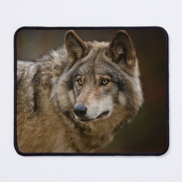 Item preview, Timber Wolf designed and sold by WolvesOnly.