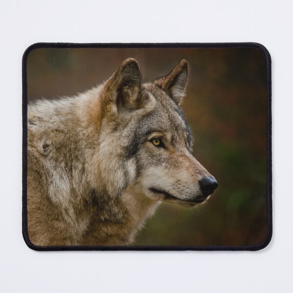 Item preview, Timber Wolf designed and sold by WolvesOnly.
