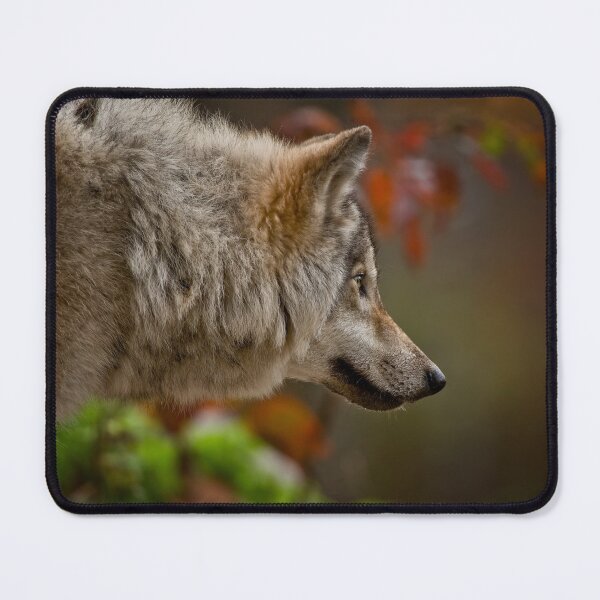 Item preview, Timber Wolf designed and sold by WolvesOnly.
