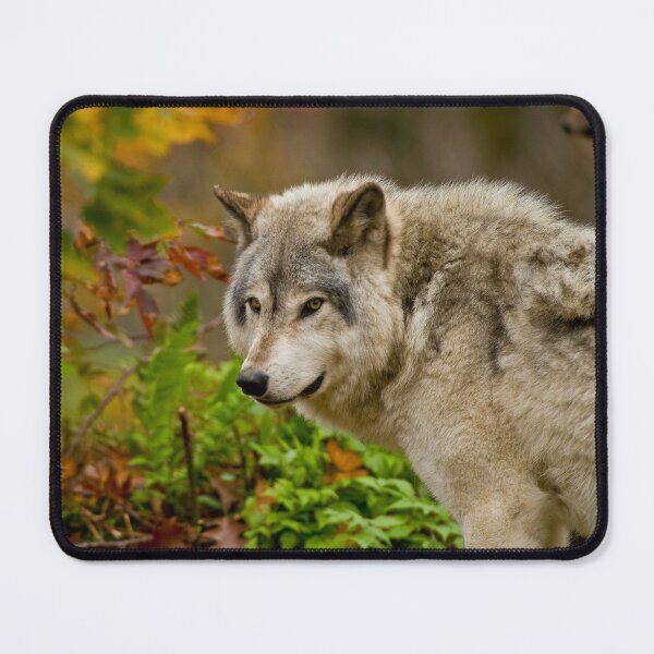 Artikelvorschau, Holzwolf entworfen und verkauft von WolvesOnly.