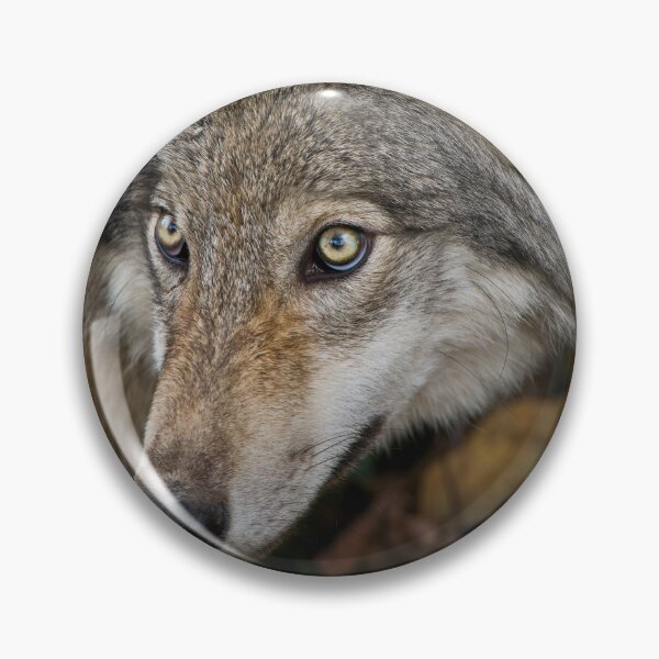 Artikelvorschau, Timber Wolf entworfen und verkauft von WolvesOnly.