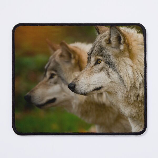 Item preview, Timber Wolves designed and sold by WolvesOnly.