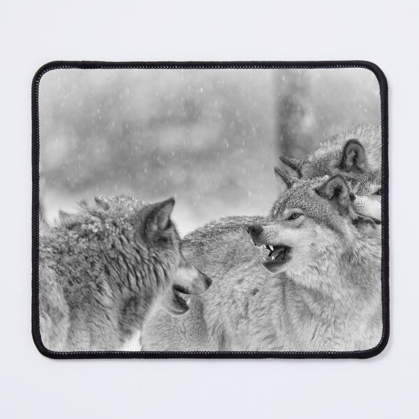 Item preview, Timber Wolves designed and sold by WolvesOnly.