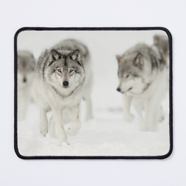 Item preview, Timber Wolves designed and sold by WolvesOnly.