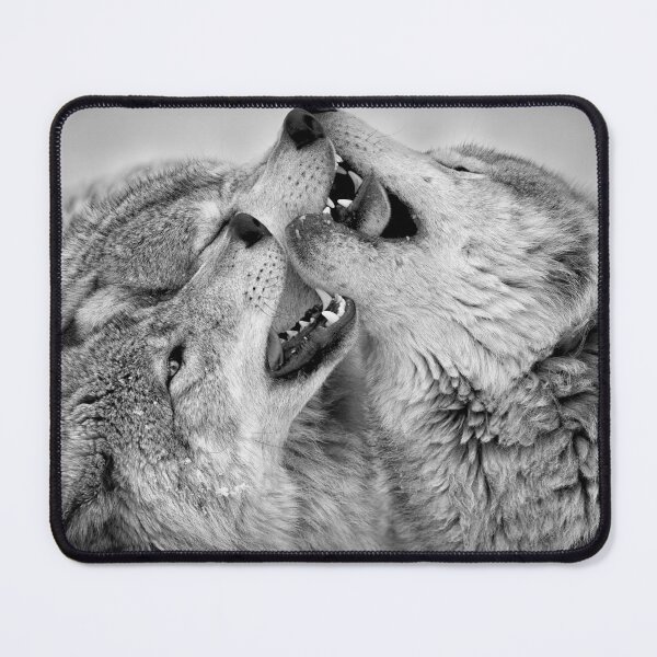 Item preview, Timber Wolves designed and sold by WolvesOnly.