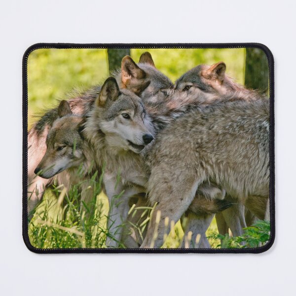 Item preview, Timber Wolves designed and sold by WolvesOnly.