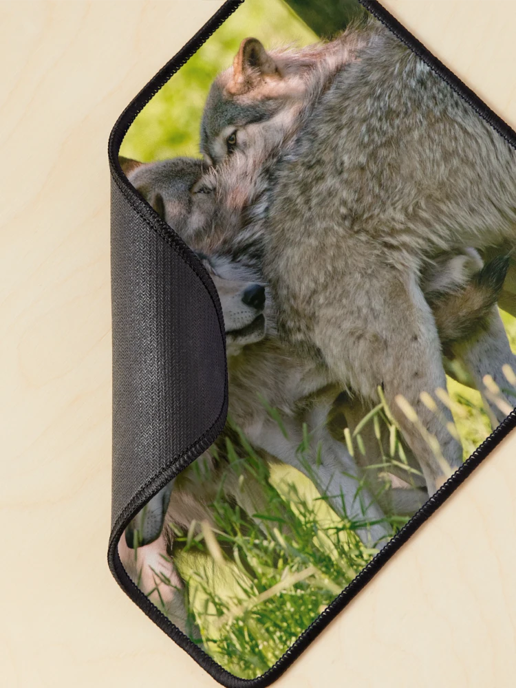Thumbnail 2 of 5, Mouse Pad, Timber Wolves designed and sold by WolvesOnly.