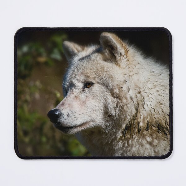 Item preview, Arctic Wolf designed and sold by WolvesOnly.