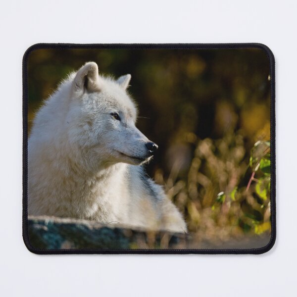 Item preview, Arctic Wolf designed and sold by WolvesOnly.