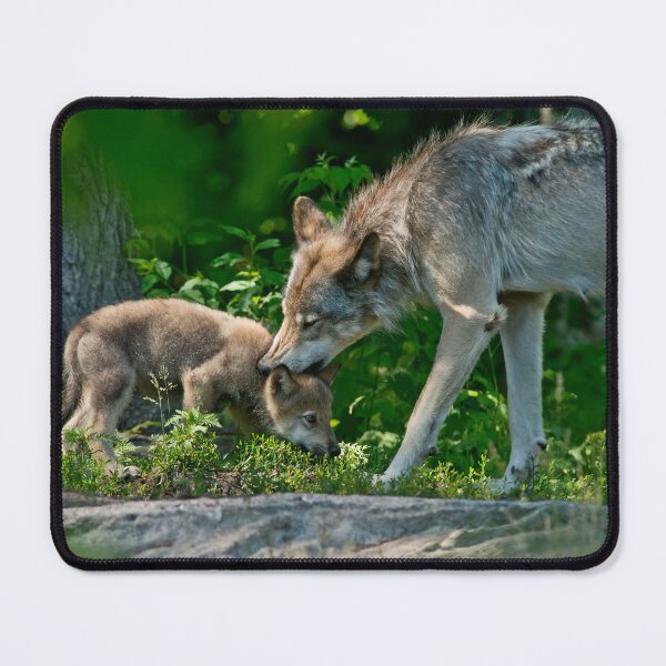 Item preview, Timber Wolf And Pup designed and sold by WolvesOnly.