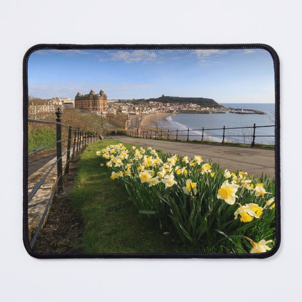 Item preview, Scarborough daffodils designed and sold by bitm2007.